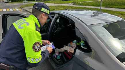 ГАИ на три дня усилила контроль на 5 трассах вокруг Минска