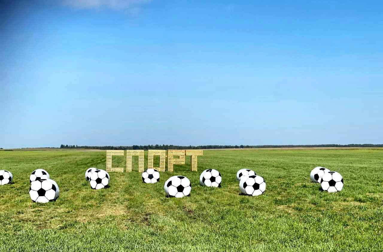 Крот-шахтёр, богомол-переросток и крейсер «Аврора». На полях Беларуси устроили конкурс фигур из соломы