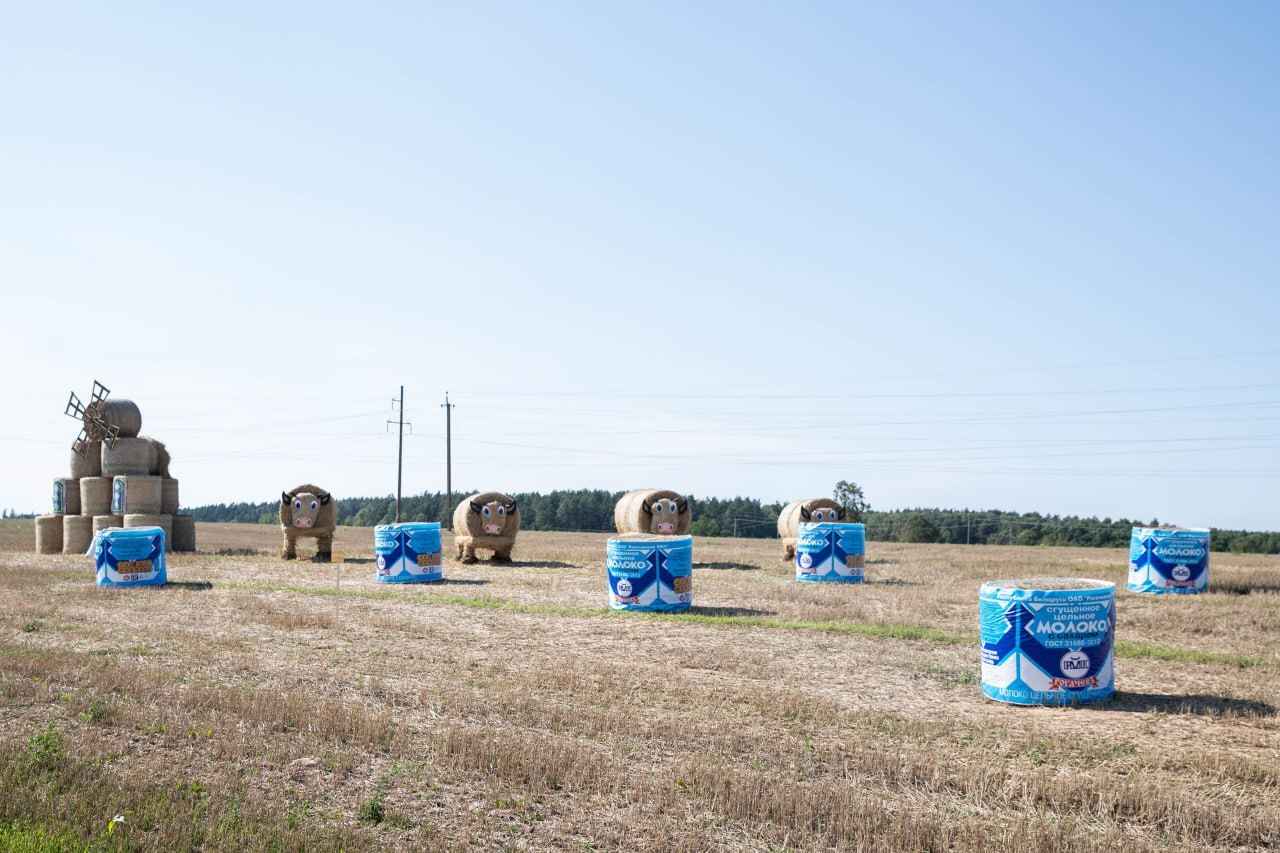 Крот-шахтёр, богомол-переросток и крейсер «Аврора». На полях Беларуси устроили конкурс фигур из соломы