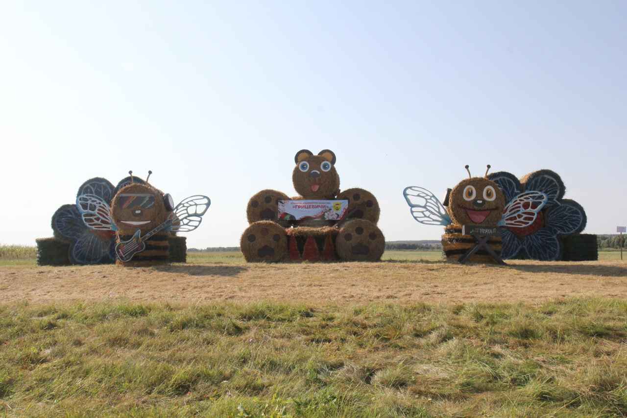 Крот-шахтёр, богомол-переросток и крейсер «Аврора». На полях Беларуси устроили конкурс фигур из соломы