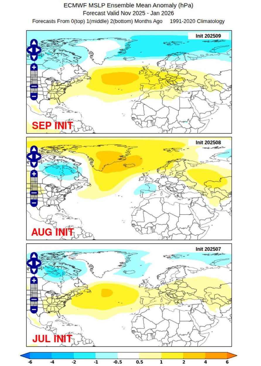 Будет ли снежным Новый год в Беларуси? Синоптики предсказали, какой будет зима 2025/2026