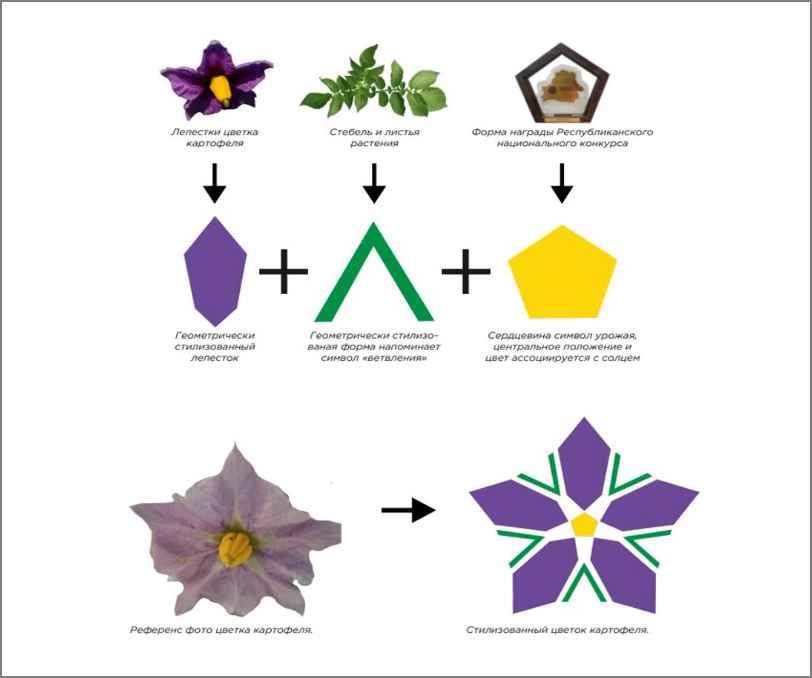 В Беларуси символом туризма выбрали цветок картошки