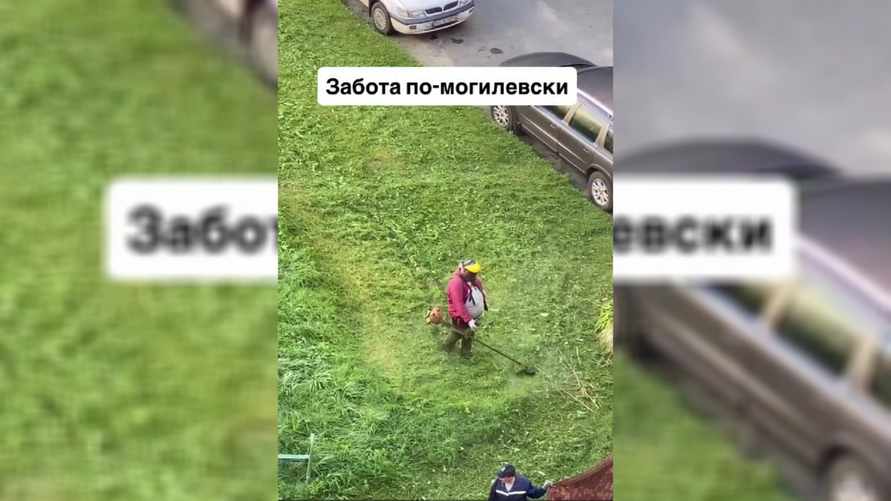 Видео с «заботой по-могилёвски» от ЖКХ завирусилось и вызвало споры — «Перестаньте такое постить»