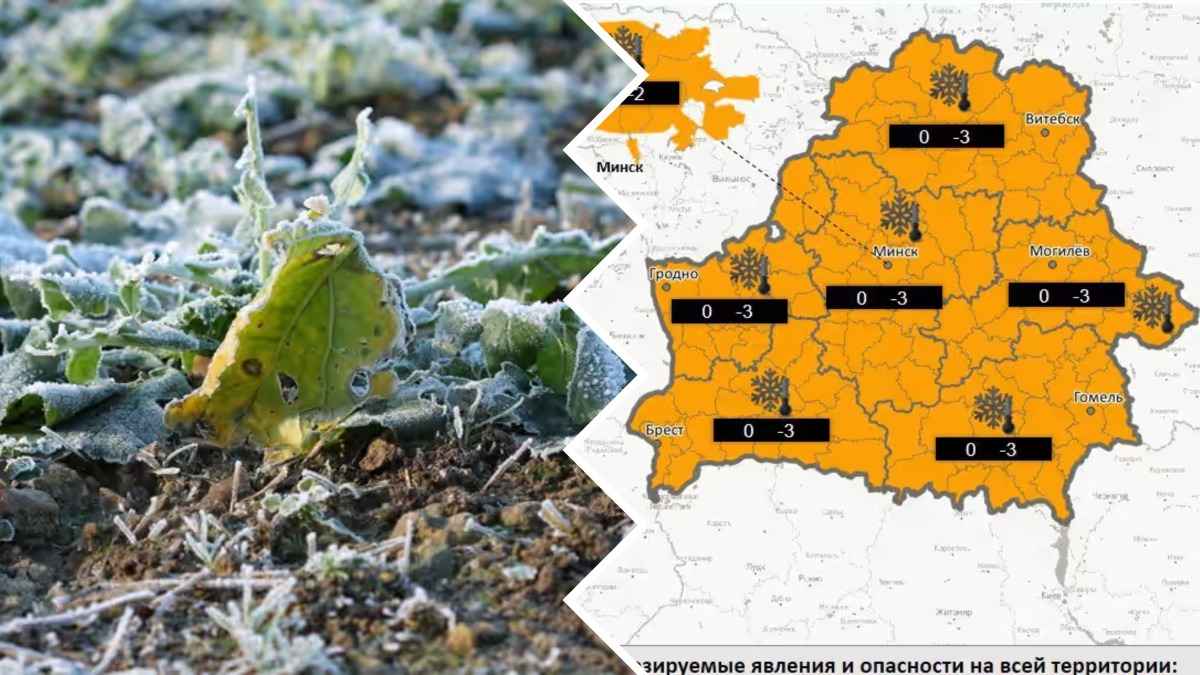 Последний "летний день"? Синоптики объявили о похолодании до -3°C и приходе в Беларусь полярного фронта