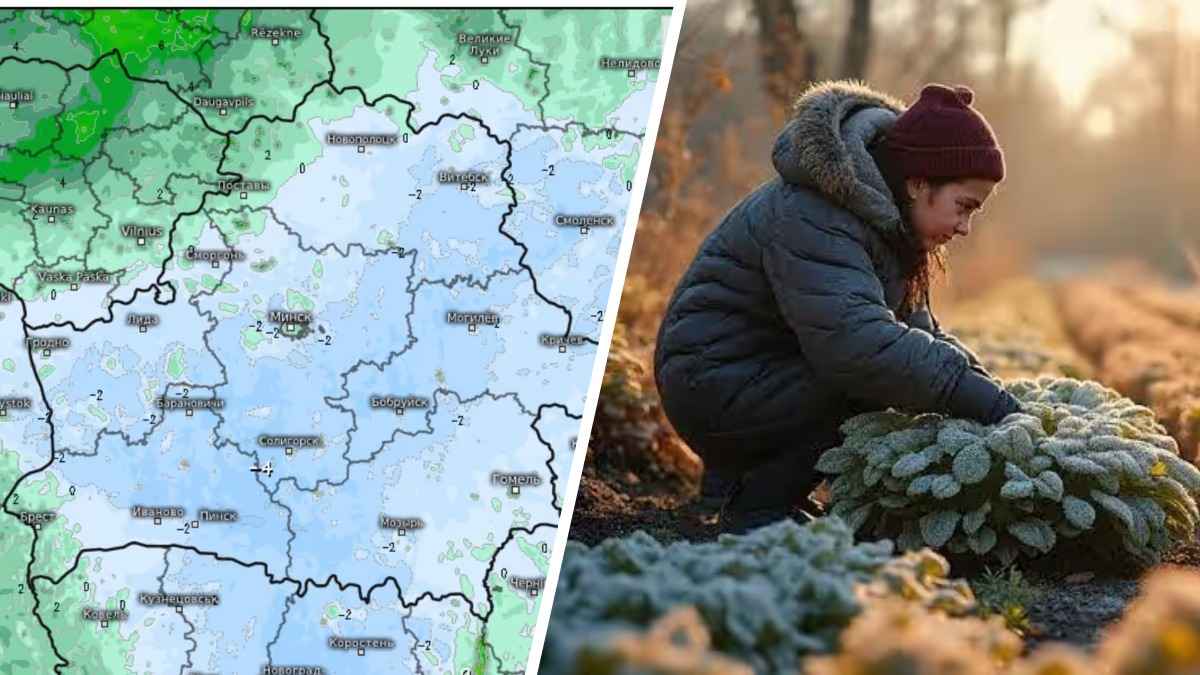 Белорусов призвали готовиться к "самой холодной ночи". А что на выходных?