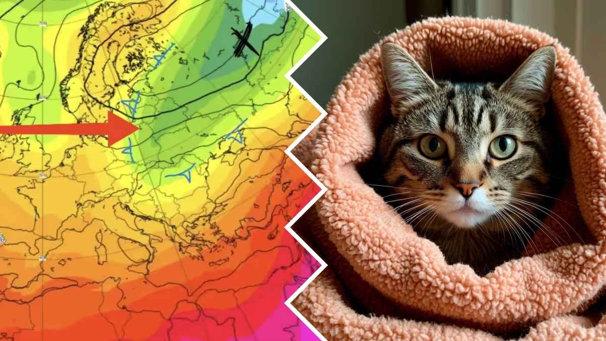 "Тепла не будет" - Синоптики предупредили о "высотной ложбине" в Беларуси на следующей неделе. А снег?