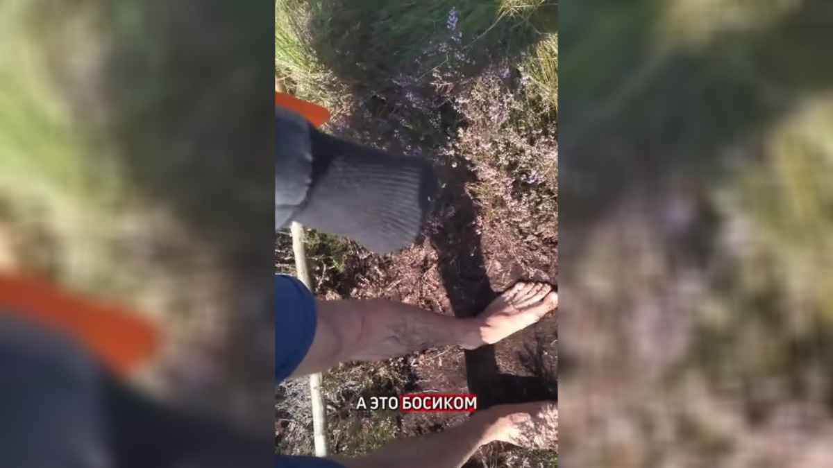 "Греются змеи" - Любителей погулять по достопримечательностям Беларуси предупредили