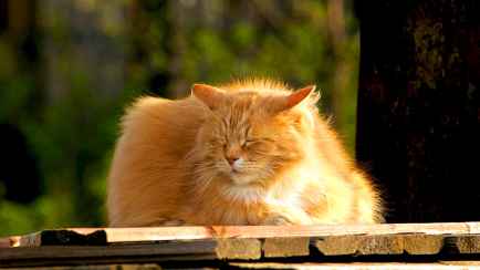 Похолодание, дожди и ненормальное тепло? Синоптики предсказали белорусам «классический перенос масс» с 15 по 21 сентября