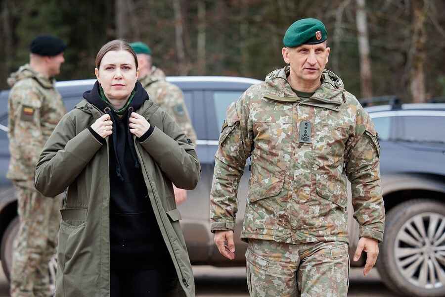 Министр обороны Литвы призвала сбивать российские истребители