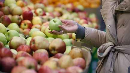 Поляки приготовились продавать в Беларусь яблоки «более низкого качества»