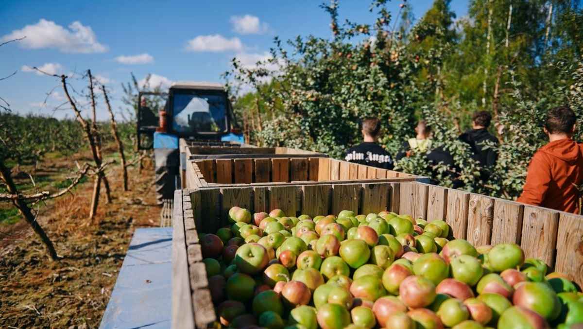 Фото иллюстрационное