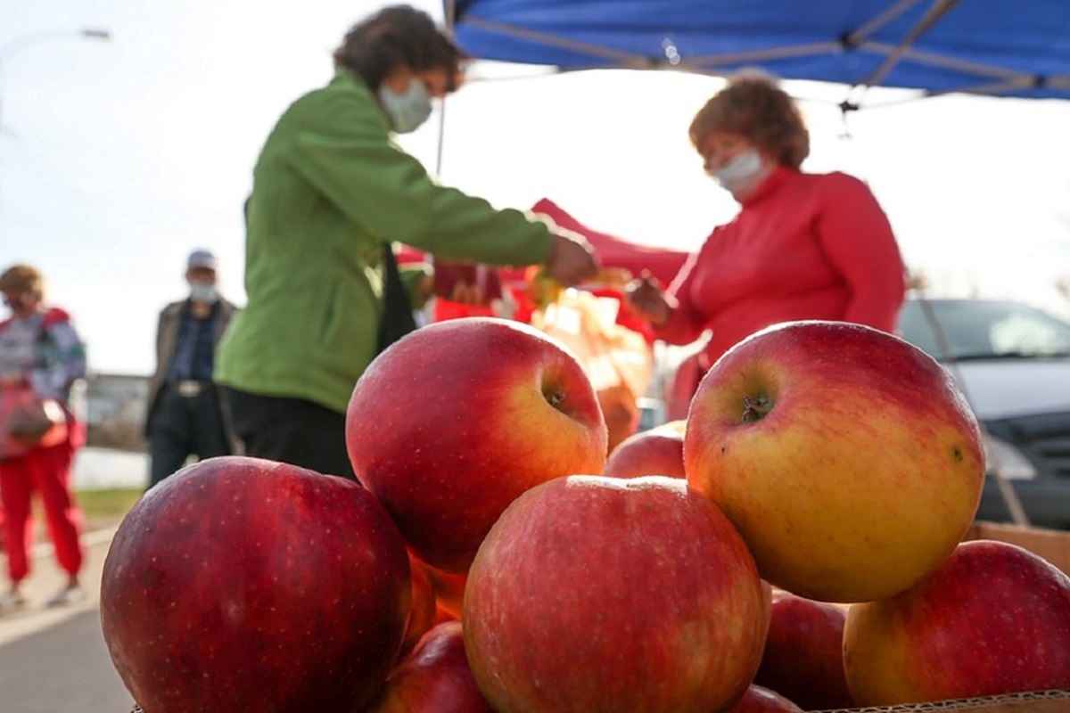 Фото иллюстрационное