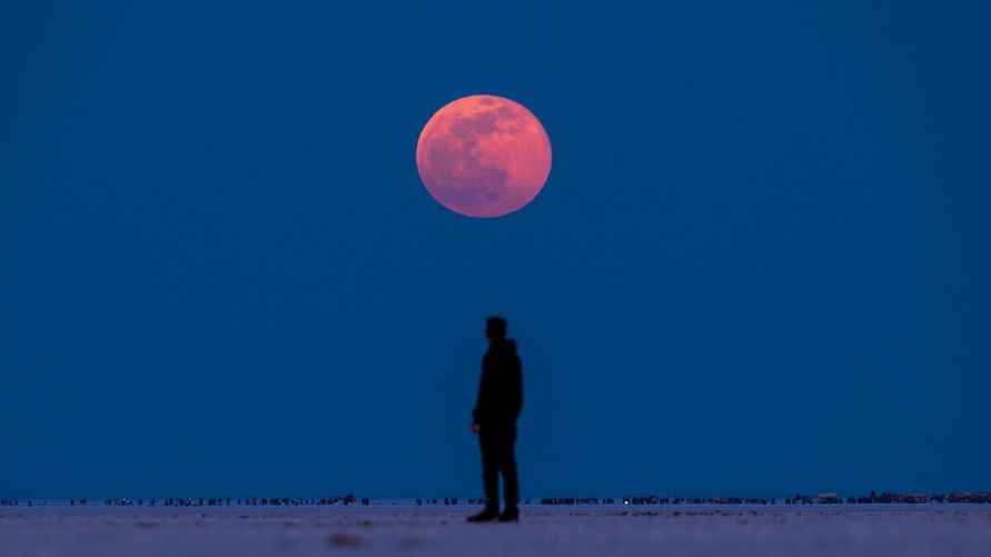Как белорусам понаблюдать за «кровавой Луной»? Узнали «график» полного лунного затмения