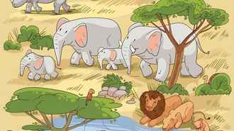 Лишь самые наблюдательные смогут найти пингвина на картинке. У вас есть 10 секунд