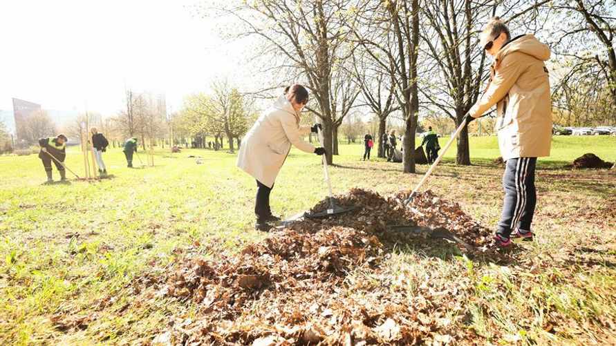 Совмин объявил в Беларуси Республиканский субботник