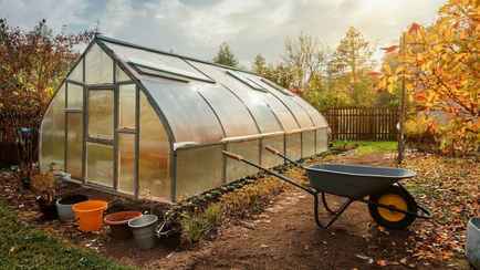 Как подготовить теплицу к зиме? Вот что поможет избавиться от фитофторы в следующем сезоне