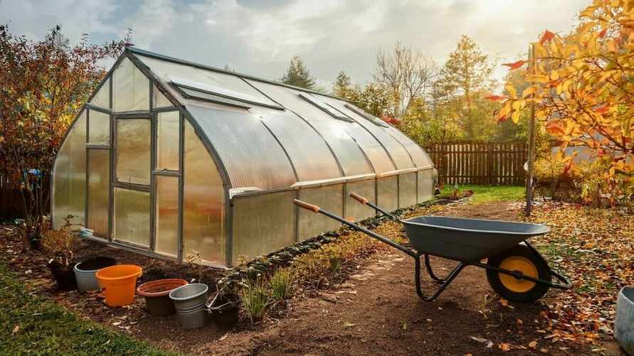 Фото иллюстрационное