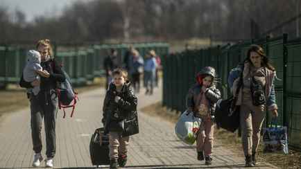 Сколько украинских беженцев живут в Беларуси и в других странах мира? ООН обновила статистику