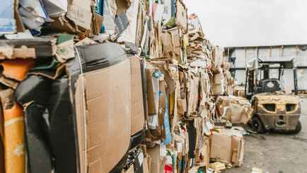 Совмин ограничил вывоз из Беларуси макулатуры