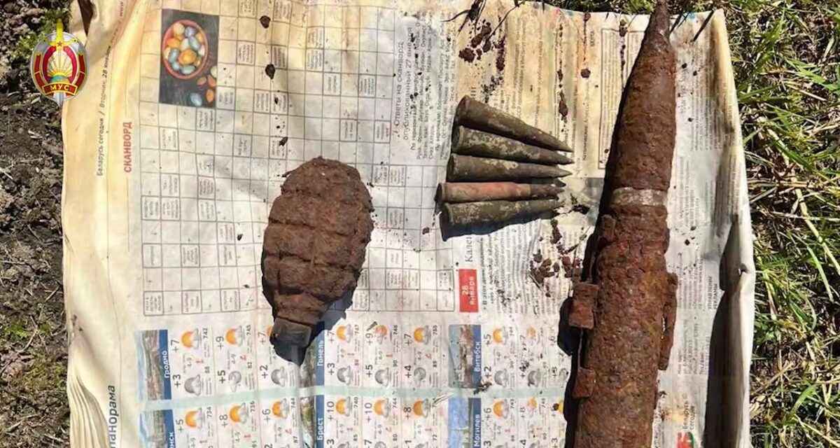 ГУБОПиК задержал на Могилевщине двух пенсионеров-торговцев оружием