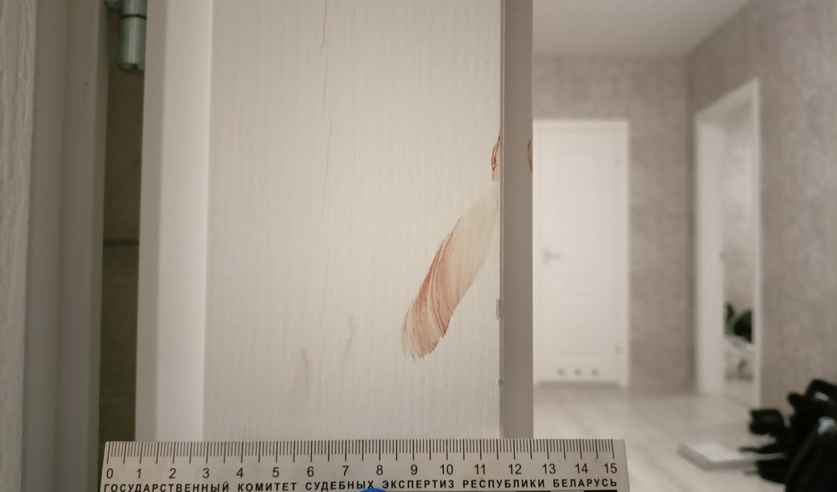 Бытовая ссора? В Бресте жена до крови избила скалкой мужа