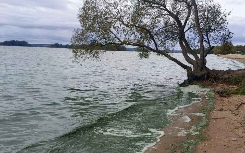 Под Минском позеленело море