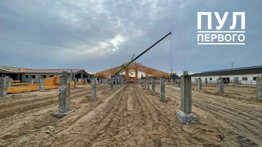 Лукашенко показали строительство и деревянного коровника - По всей стране будем тиражировать