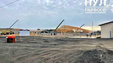 Лукашенко показали строительство и деревянного коровника — «По всей стране будем тиражировать»