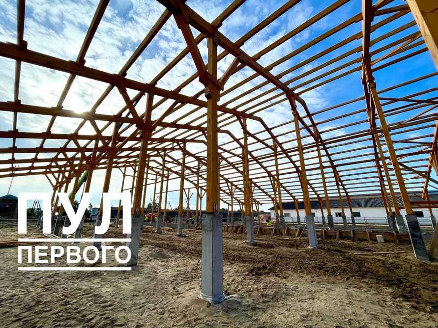 Лукашенко показали строительство и деревянного коровника - По всей стране будем тиражировать
