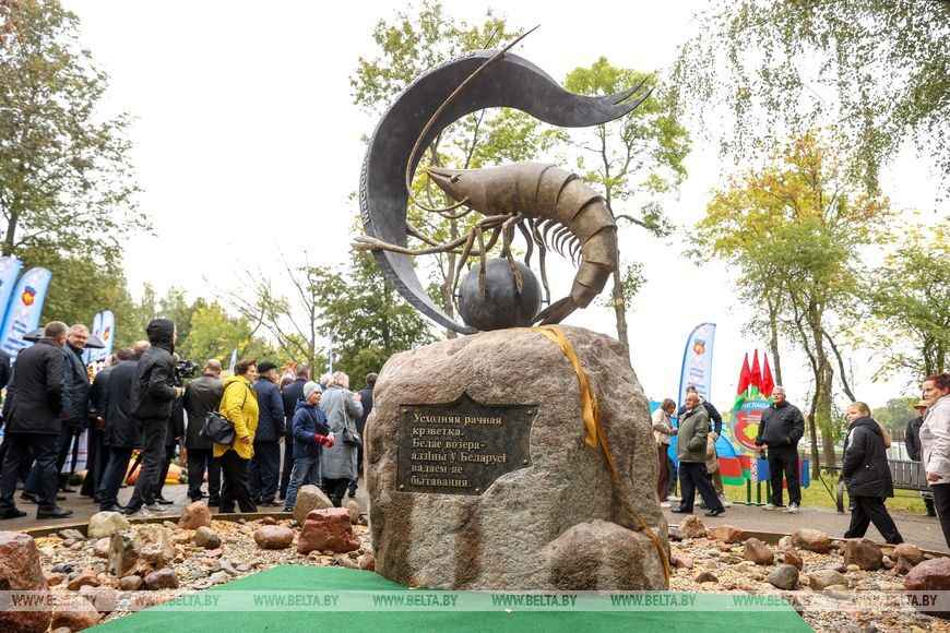 Белорусам показали, как выглядит памятник белорусской креветке