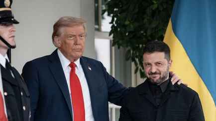 Получат ли Трамп и Зеленский Нобелевскую премию мира? Эксперты назвали условия