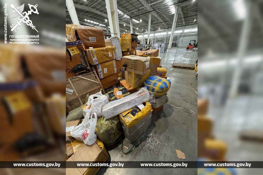 Таможня показала белорусам за какие товары из России можно лишиться 250 000 рублей