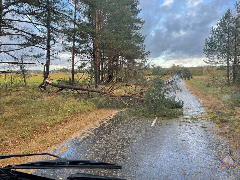 Шквалистый ветер снёс телятник на Могилёвщине и оставил без света десятки деревень Витебщины