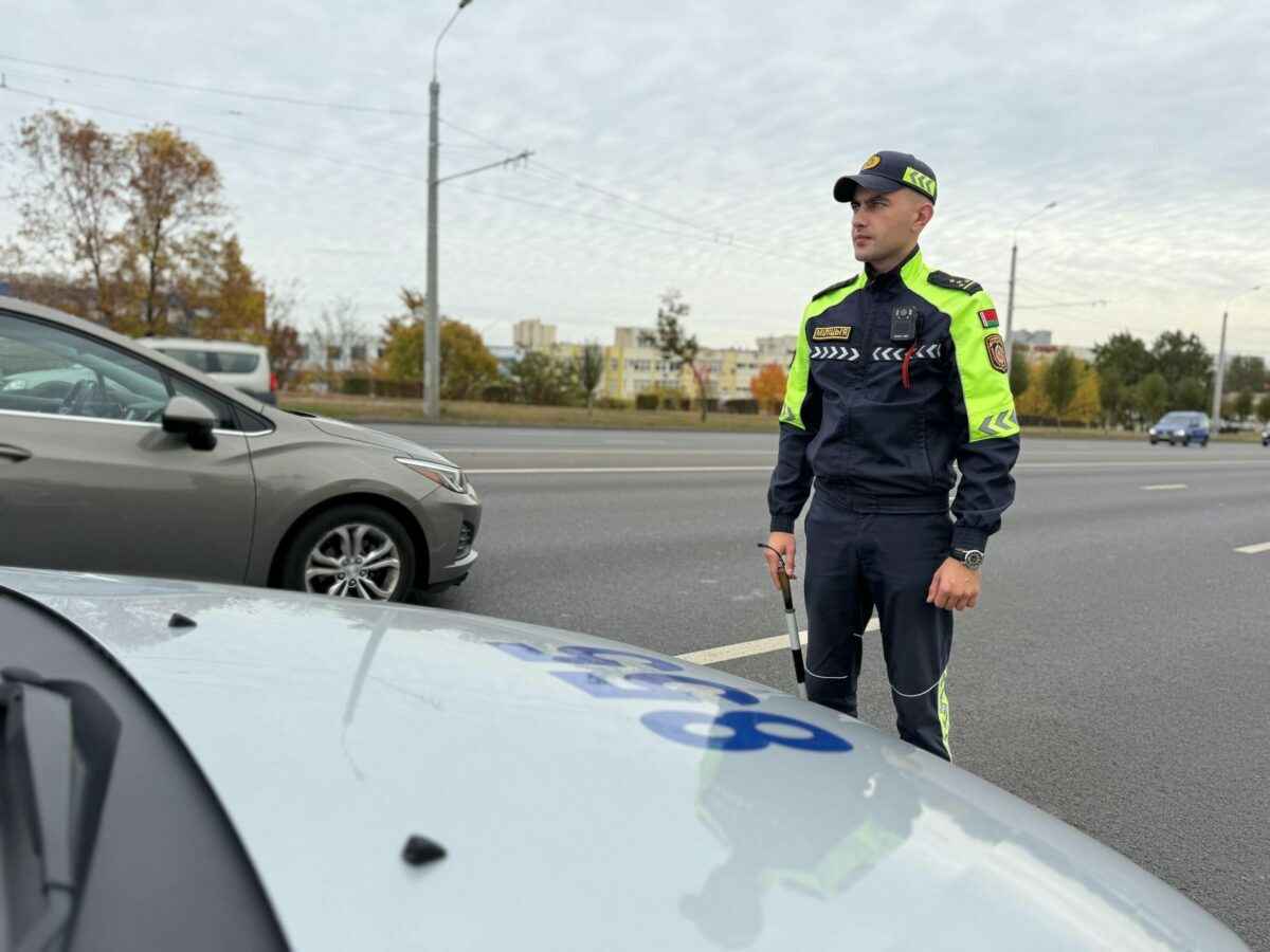 ГАИ призвала белорусов объезжать препятствия сзади и забыть про «легкомыслие» при виде листьев