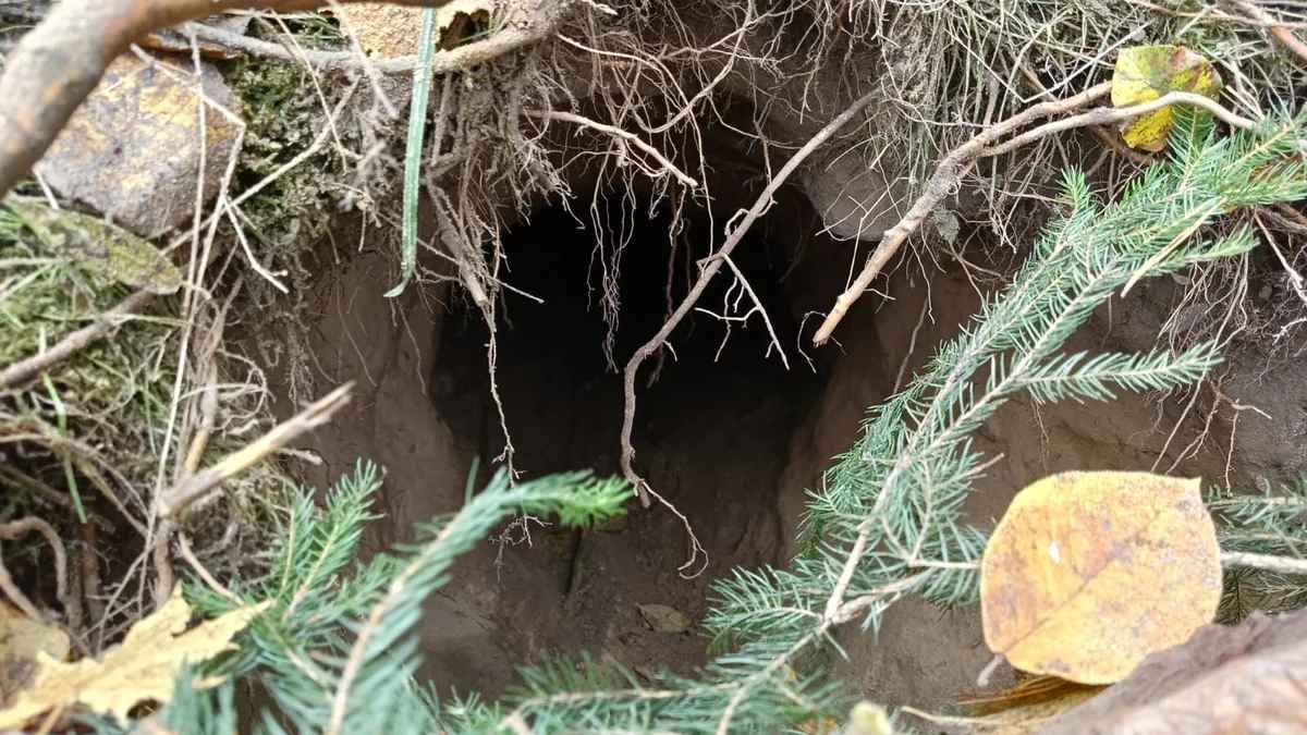 Польша показала "тоннель из Беларуси"