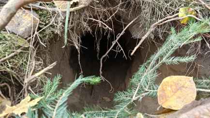 Польша показала «тоннель из Беларуси»