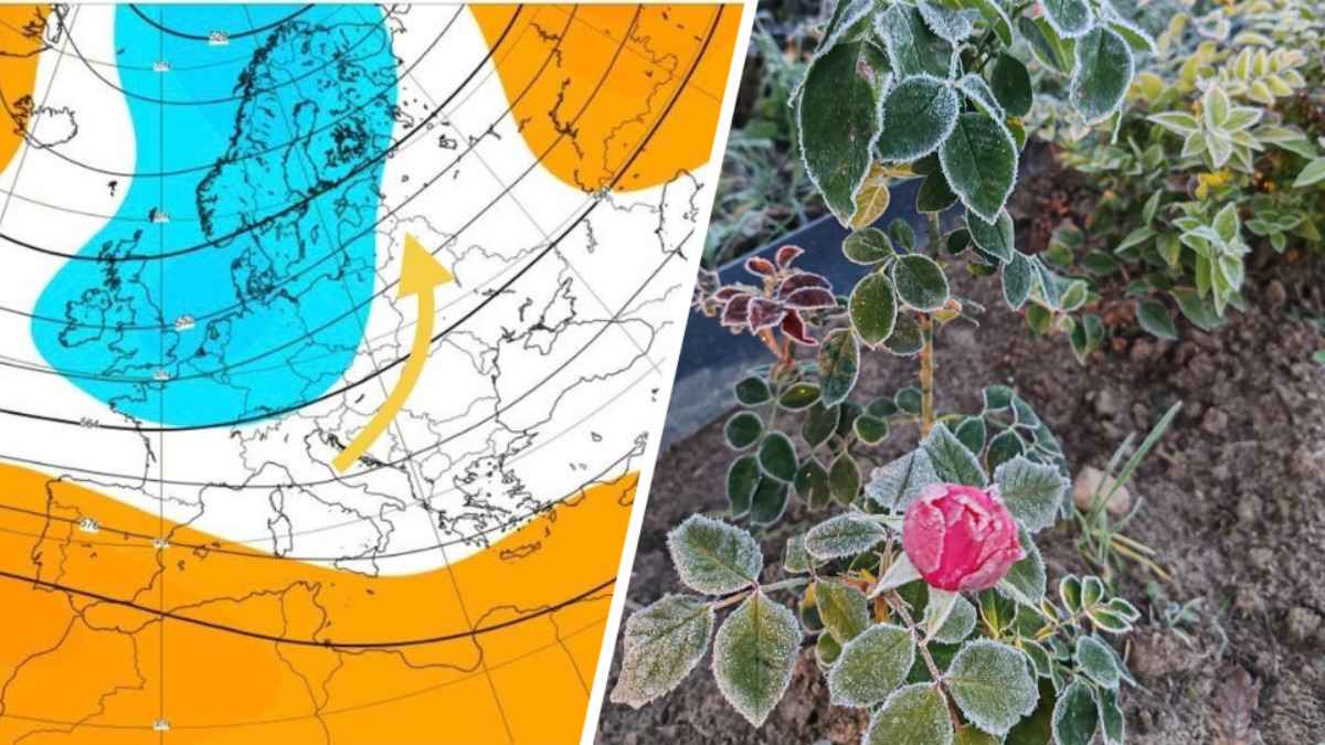 Победит ли тепло? Синоптики предупредили о "погодных качелях" в Беларуси до конца октября