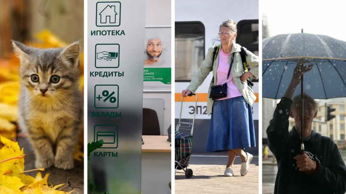 Новые правила по кредитам и отмена льгот для дачников. Что ещё ждёт белорусов в ноябре?