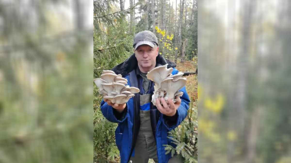 "Жить хотим" - Грибник показал "магазинные" грибы в лесу. Не все зрители согласились их собирать