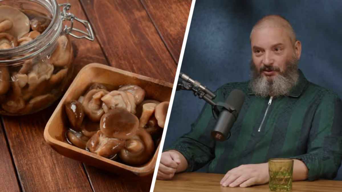 Большинство едят грибы «неправильно»? Миколог назвал способ, который повышает их ценность до 80%