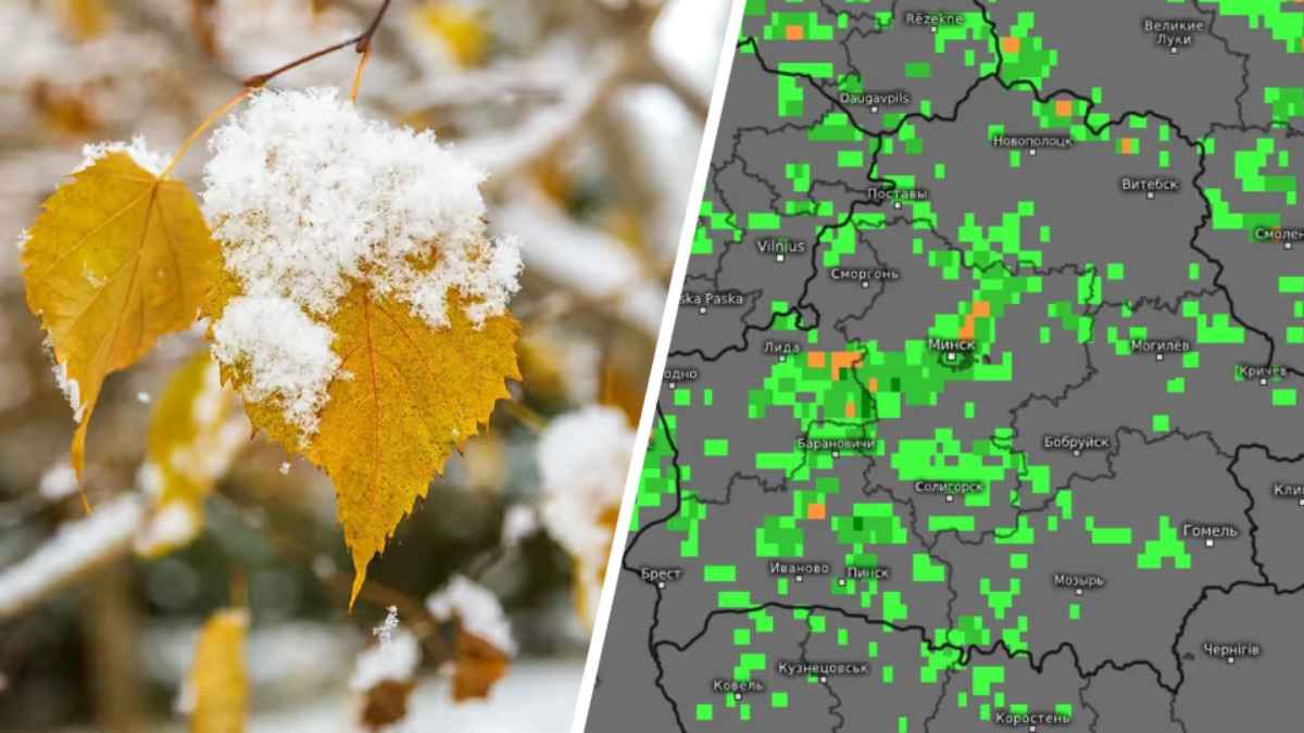 Синоптики рассчитали для Беларуси дату первого снега в октябре