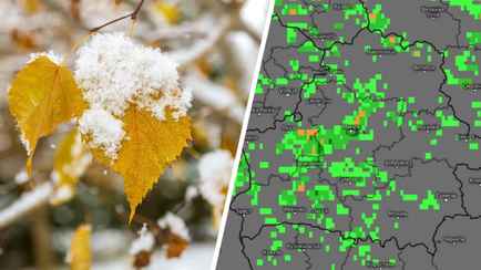 Синоптики рассчитали для Беларуси дату первого снега в октябре