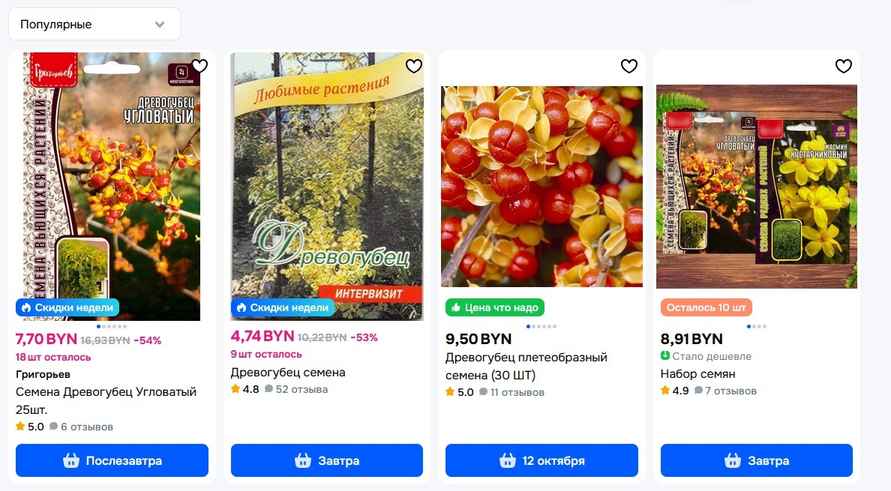 Штраф до 200 000 евро. Евросоюз ввел штрафы за выращивание популярного декоративного растения