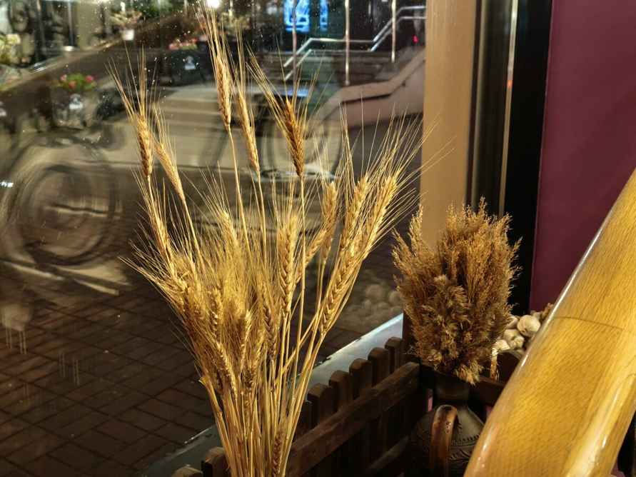 Яркие фотографии даже в ночи Что умеет новый камерофон Xiaomi 15T Pro