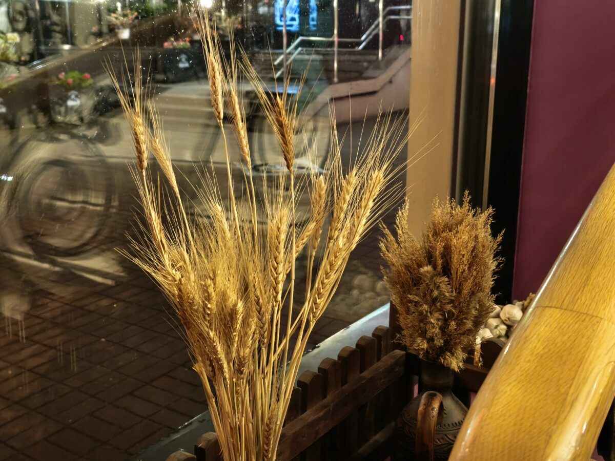 Яркие фотографии даже в ночи Что умеет новый камерофон Xiaomi 15T Pro