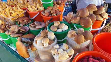 Сколько стоят грибы в Беларуси? Сравнили с ценами в Европе и узнали, где запредельные