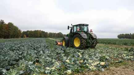 Польский фермер публично раздавил 25 000 кочанов капусты в знак протеста — «Вы можете себе это позволить?»