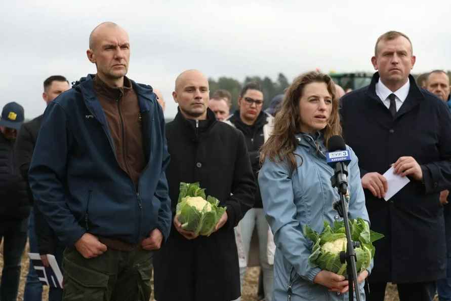 Польский фермер публично раздавил 25 000 кочанов капусты в знак протеста — «Вы можете себе это позволить?»