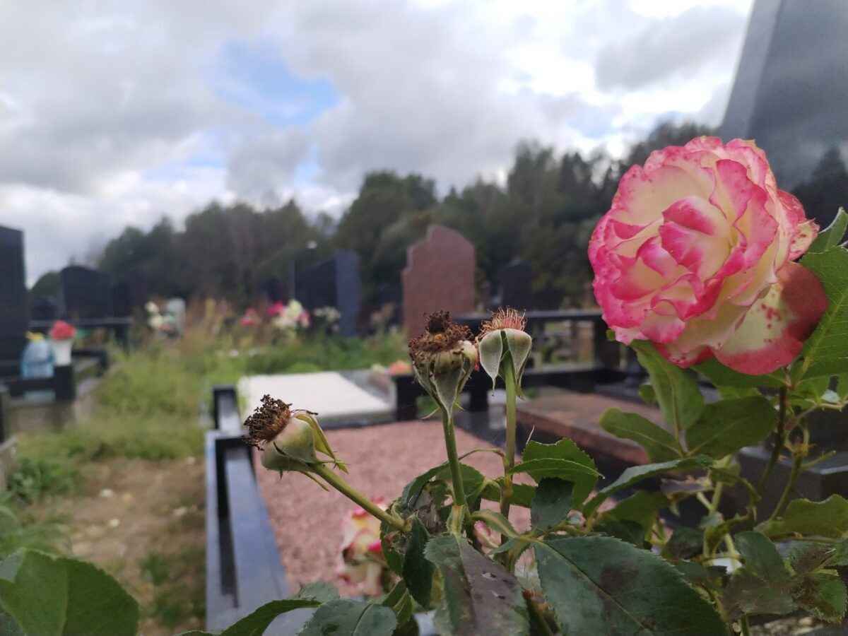 Фото: Telegraf.news