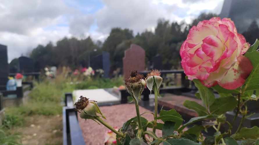 Фото: Telegraf.news